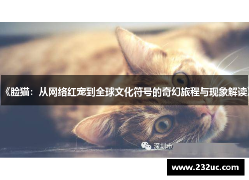 《脸猫:从网络红宠到全球文化符号的奇幻旅程与现象解读》